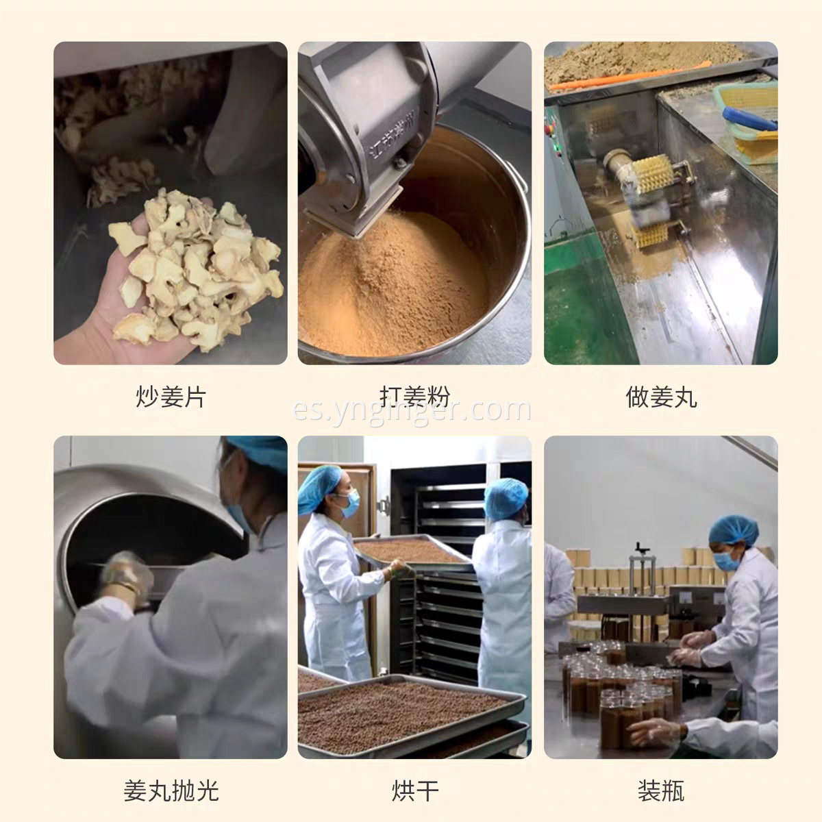 Ginseng Ginger Pills